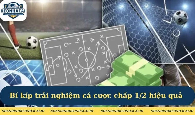 Bí kíp trải nghiệm cá cược chấp 1/2 hiệu quả cho newbie