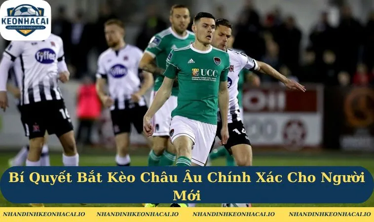 Bí Quyết Bắt Kèo Châu Âu Chính Xác Cho Người Mới